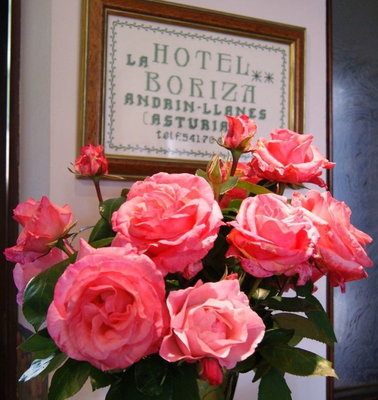 Hotel La Boriza Андрин Экстерьер фото